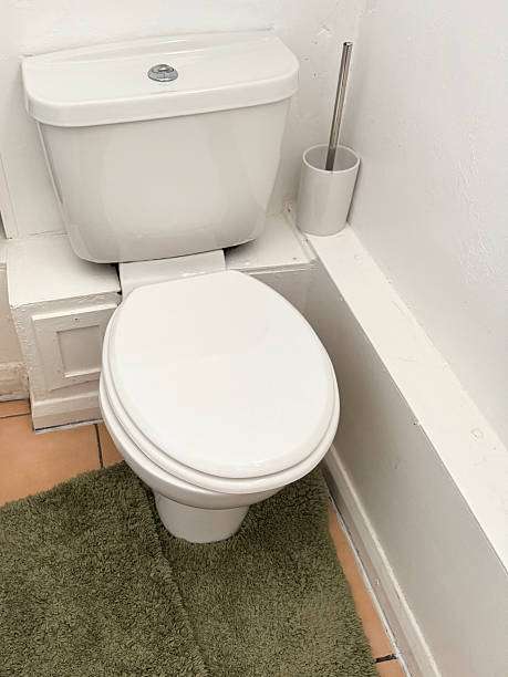 photo shows a WC toilet on bath mat