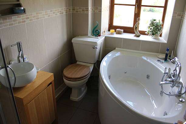 Modern bathroom with jacuzzi tub and toilet, no bath mat visible.