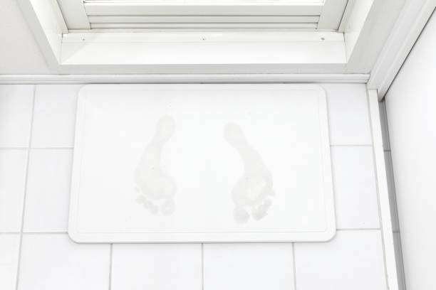 the diatomaceous earth bath mat